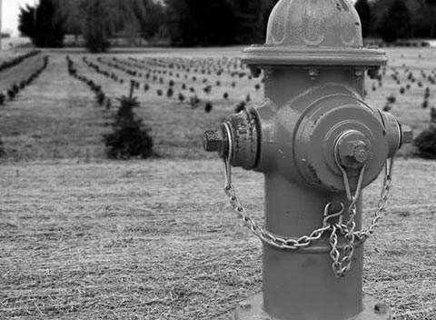 免费ddos压力测试平台